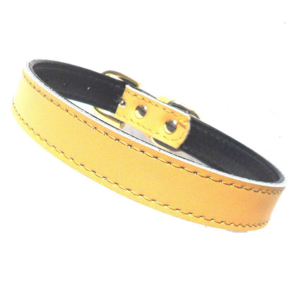 Plain Chelsea Dog Collars (4 sizes) 8-16"